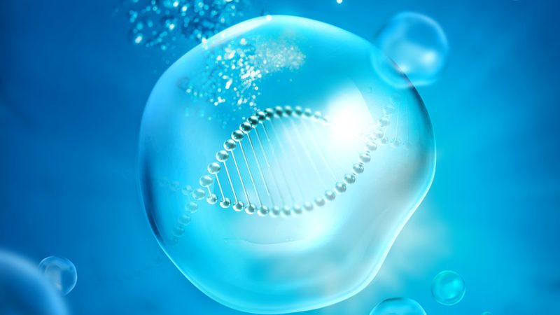 北京生物试剂报价单：揭秘生物试剂采购的“门道