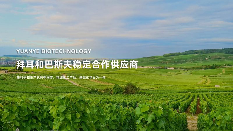 生物制品价格之谜：揭秘其定价背后的逻辑**