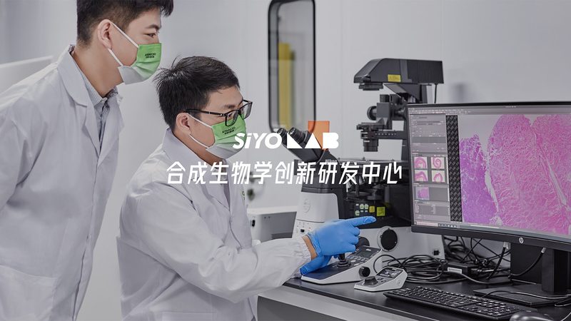 引物合成：生物科技研究中的关键一环**