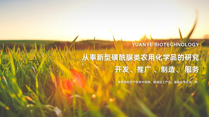 细胞工厂设备：规格参数背后的技术奥秘**