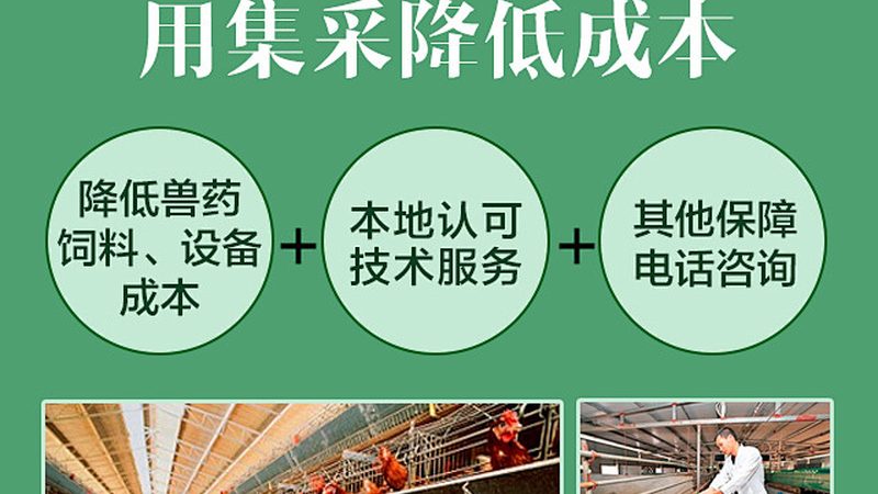 引物合成质量如何保证：关键指标与判别技巧