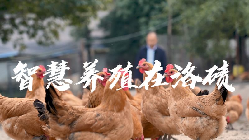 诊断试剂厂家十大品牌推荐