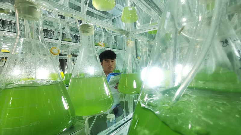 细胞培养板规格参数，揭秘其背后的科学奥秘**